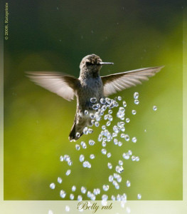 In Loving Contemplation- Litsa